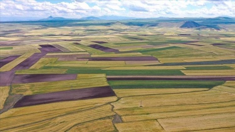 Çevre ve Şehircilik Bakanlığı, 16 ildeki 144 arsayı satışa çıkarıyor